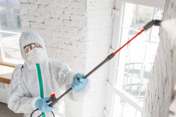 Best Mold Prevention Services  in Cade, LA