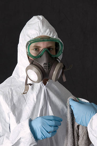 Biohazard Mold Removal in Cade, LA